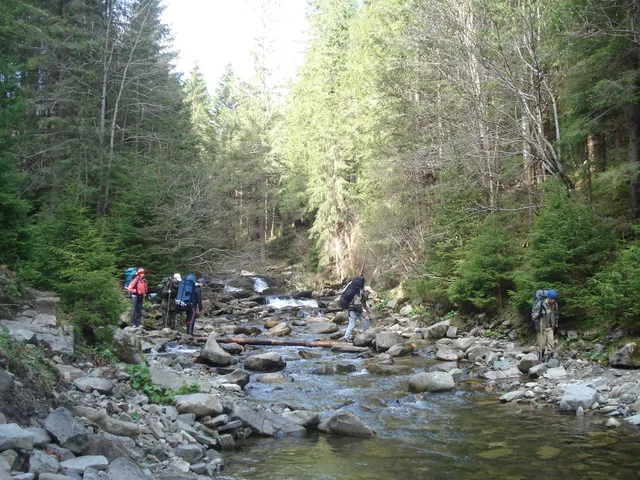 Zespół, rok 2009, zdjęcie 1