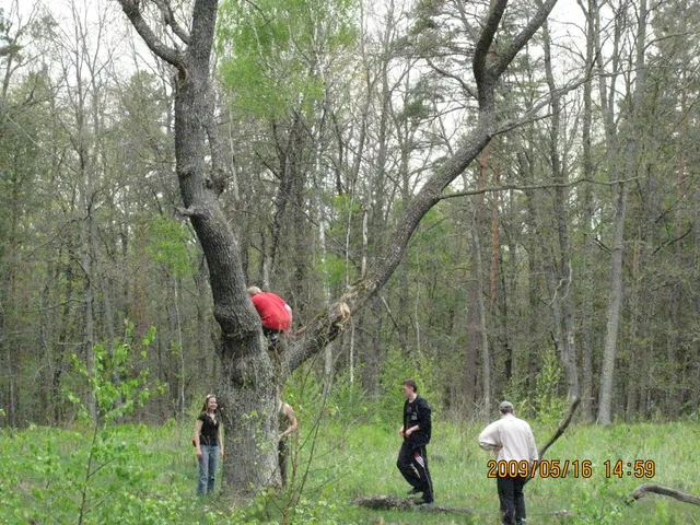 Zespół, rok 2009, zdjęcie 2